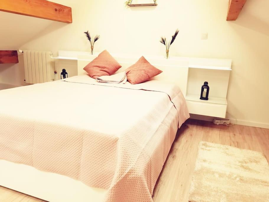 Chaleureuse Maisonnette Lyon *